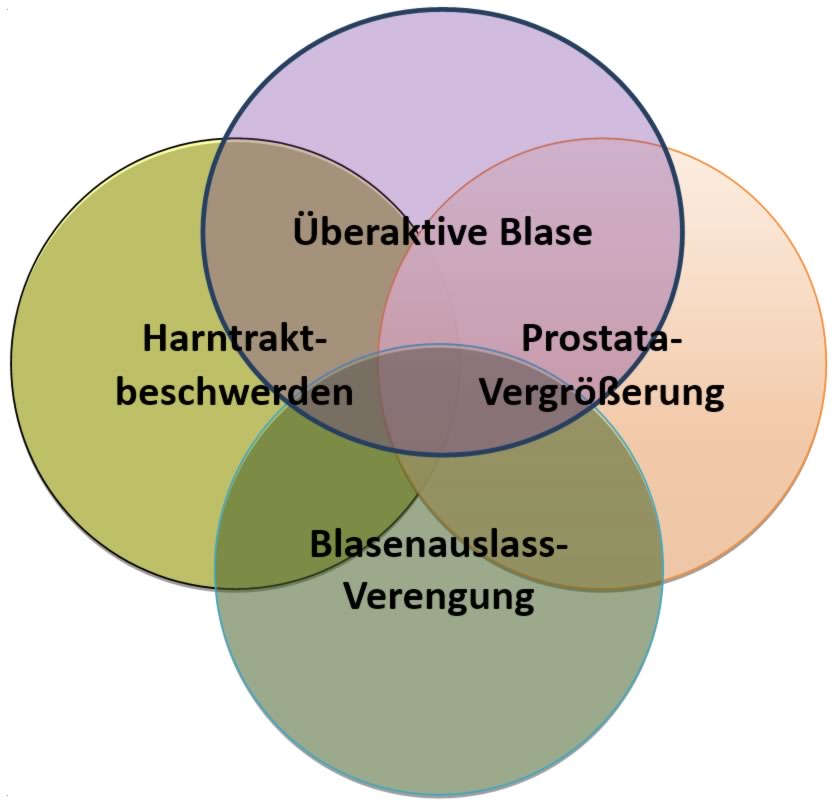 Harntraktbeschwerden, Prostatabeschwerden, Überaktive Blase leitlinien-un-gerecht als sich überlappende Symptomkomplexe dargestellt